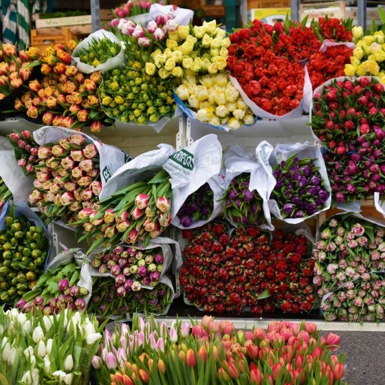 composizioni floreali per san valentino - Foto di Waldemar.