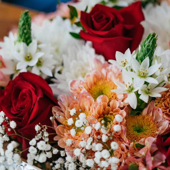 fiori per san valentino - Foto di Valeria Boltneva.