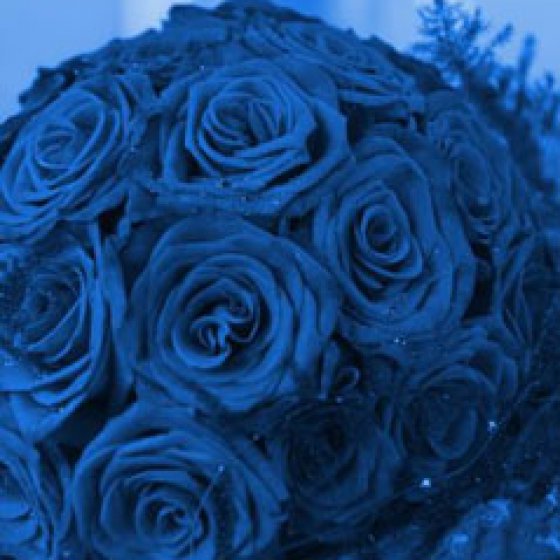 bouquet a palla blu